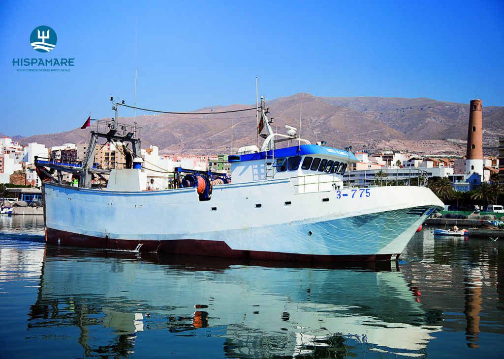 Pesca sostenible - ¿Qué es la pesca sostenible? España y otras regiones